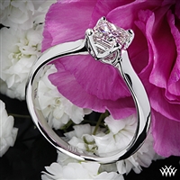 W-Prong for Princess Cut Diamond by WF | 892