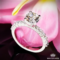 Diamonds for an Eternity 1/2 Diamond Engagement Ring | 1386