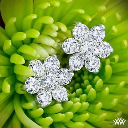 Expectations Surpassed - Awesome service, very knowledgeable and AMAZING diamonds!