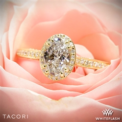 The oval diamond is radiant, the intricate and timeless design just brought her to tears.