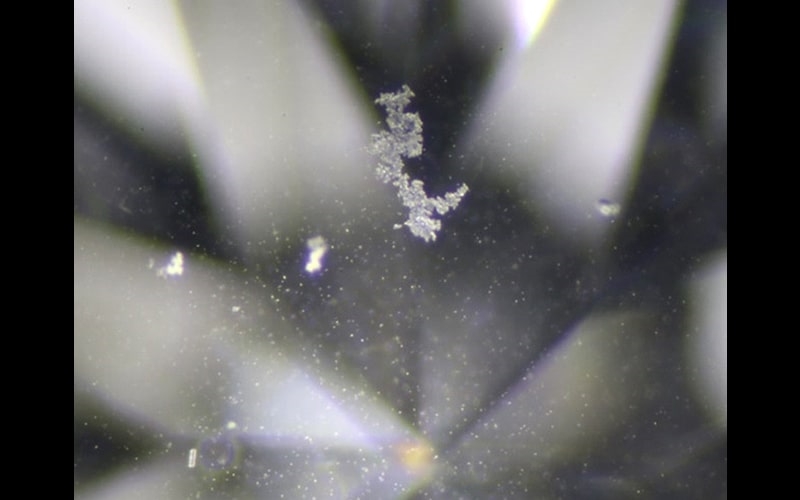 igi-lab-grown-diamond-inclusions-hpht-dendritic-remnant