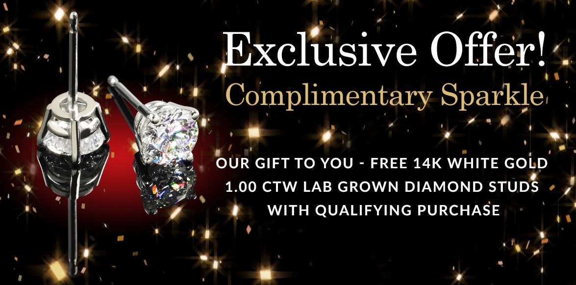 Holiday Sparkle Promotion