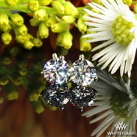 3 Prong Martini Diamond Earrings